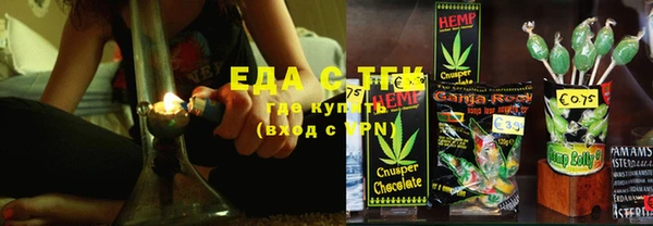 индика Белокуриха