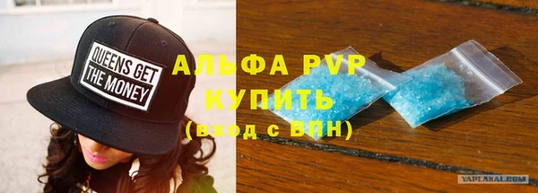 индика Белокуриха