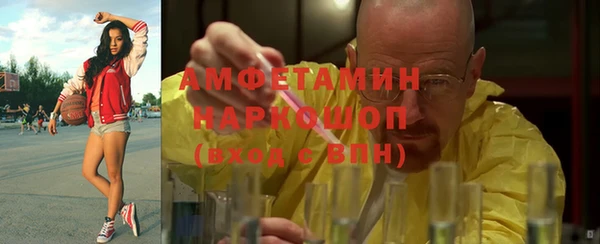 индика Белокуриха