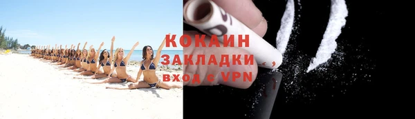 индика Белокуриха