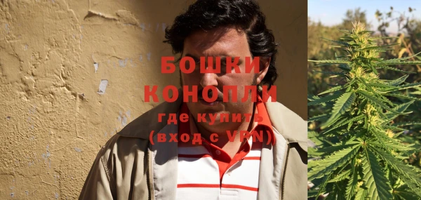индика Белокуриха