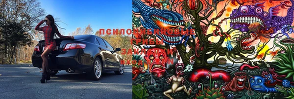 дживик Белоозёрский