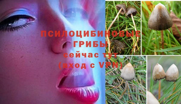 дживик Белоозёрский