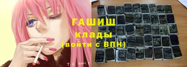 индика Белокуриха